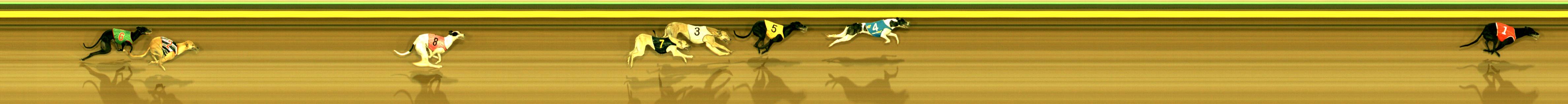 Race result finish photo